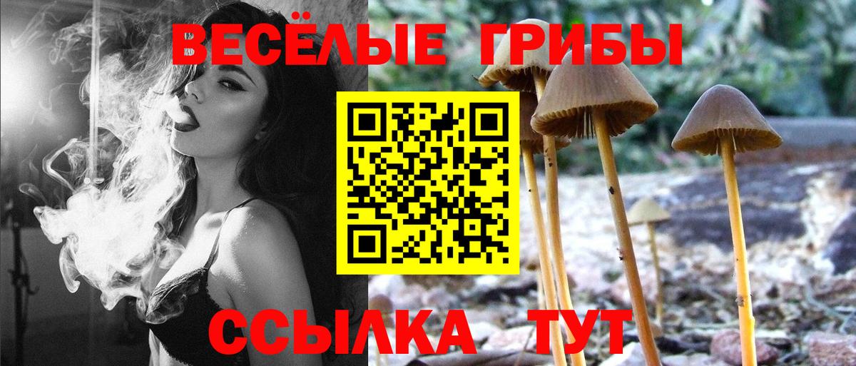 Коммунар  Галлюциногенные грибы прущие грибы  Вход с VPN  Галлюциногенные грибы мицелий 